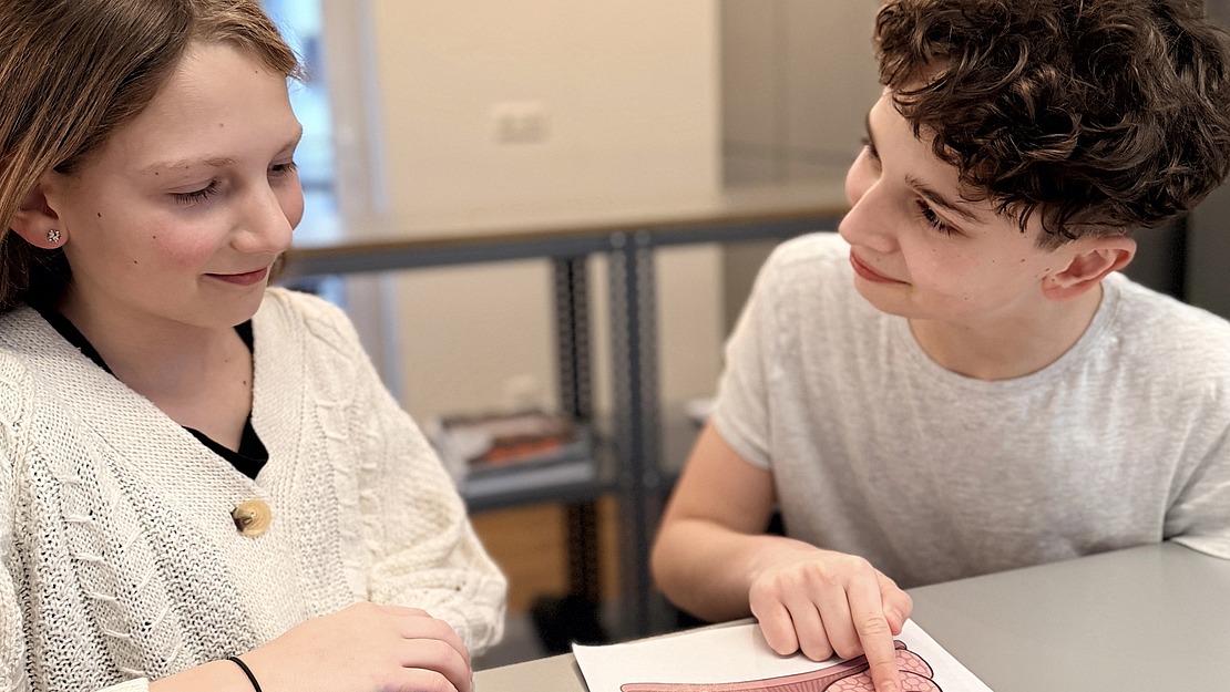 Zwei Kinder sitzen an einem Tisch. Das eine zeigt auf eine Abbildung menschlicher Organe, möglicherweise der Lunge oder des Verdauungssystems, während das andere aufmerksam zusieht und zuhört. Es sieht so aus, als würden sie gemeinsam darüber sprechen oder lernen.